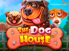 Spēles The Dog House priekšskatījums ar mīļiem suņiem un būdu 3D stilā